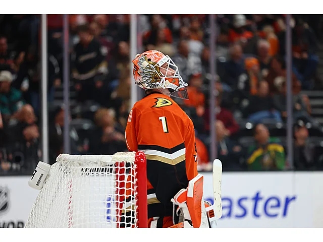 Dostál byl zvolen první hvězdou, výhru vychytal i Rittich z Islanders