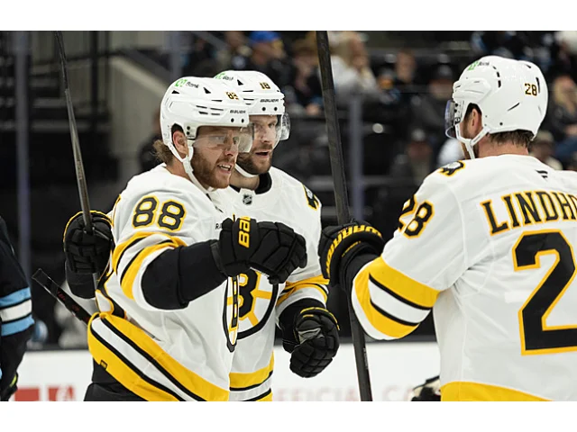 Pastrňák s Nečasem asistovali, tři čeští gólmani v NHL brali výhru