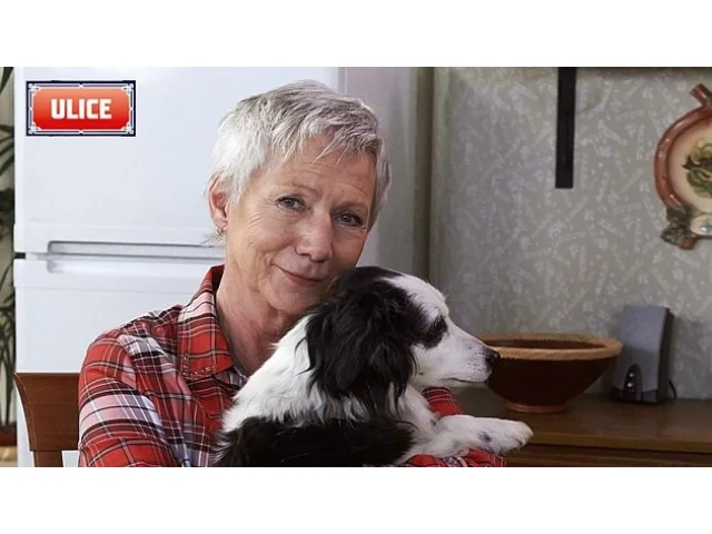 KVÍZ: Herečka s hlubokým hlasem a duší bojovnice. Jak moc znáte Danu Syslovou?