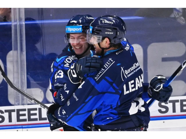 Vítkovičtí hokejisté třemi góly v závěru otočili předehrávku proti Budějovicím