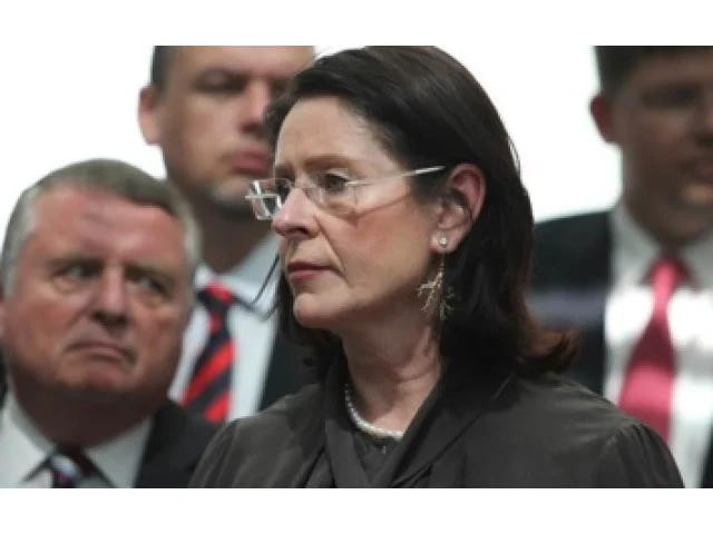 Němcová zhodnotila Okamuru v čele Sněmovny dvěma přídavnými jmény. Pak přidala i další slova