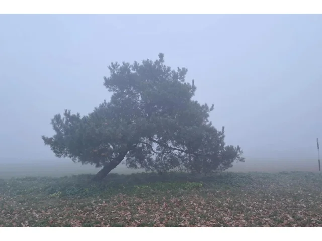 Prodloužený víkend bude ve znamení mlh a chladu. Vytěžte z něj maximum pro své zdraví