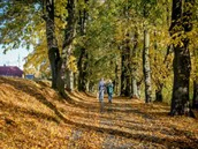 Jaké bude počasí o prodlouženém víkendu? Slunečno přijde až po něm