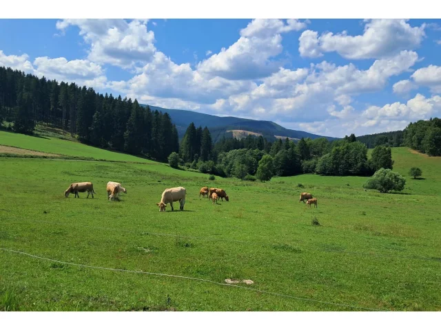 Kvíz: Zemědělství jako věda a umění zároveň. Co víte o jeho vývoji?