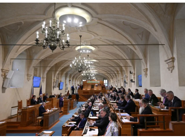 Senát bude kandidáty na dětského ombudsmana vybírat ze čtyř adeptů