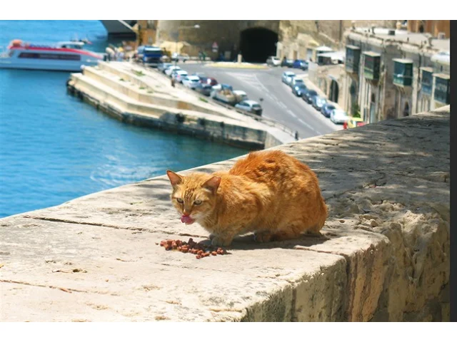 První výherce se chystá do Istanbulu. Soutěž o exotické dovolené pokračuje Maltou