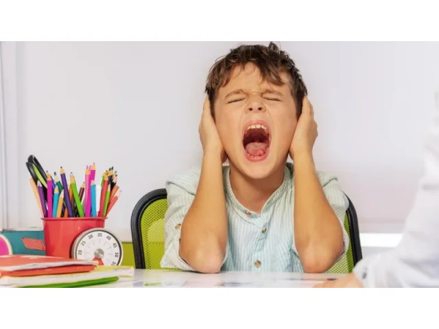 Školní křižovatka: Hledání té pravé cesty pro našeho autistického syna