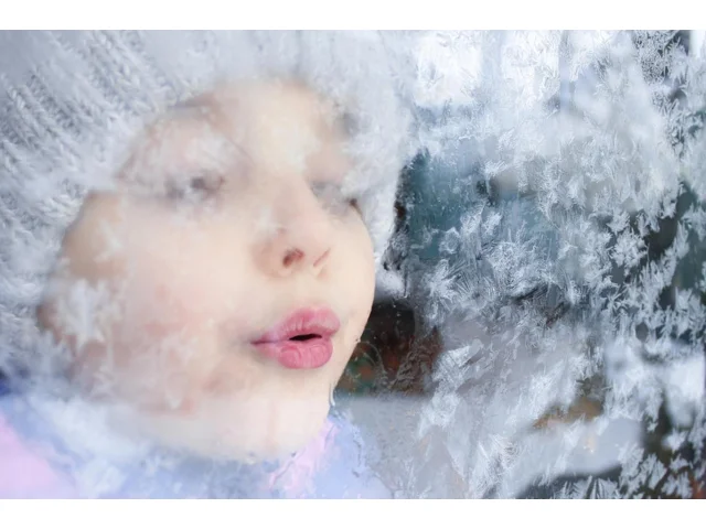 Česko sevře mráz! Meteorologové varují před mohutným sněžením. Oteplí se v době, kdy to nejmíň čekáte