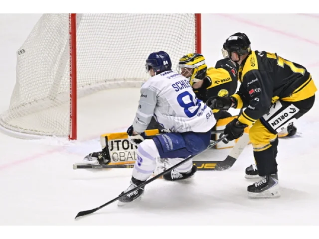 Hokejisté Plzně porazili poslední Litvínov a zabrali po dvou prohrách