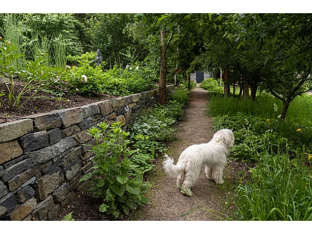 Snová lesní zahrada, v níž se Tomášovi a Tamaře Klusovým ztrácejí návštěvy