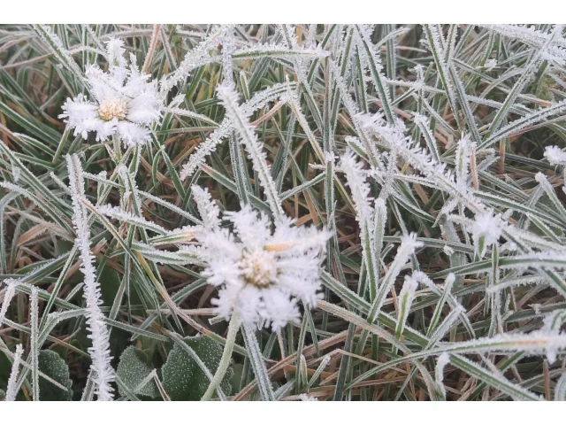 Počasí o víkendu 22. a 23. listopadu přinese první „ledové dny“. Jak zůstat v pohodě i v mrazech?