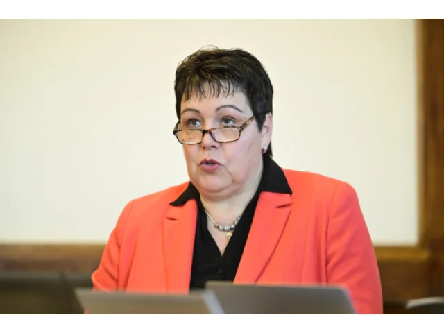 Hlavní hygienička osloví kvůli žloutence A a adventním trhům samosprávy