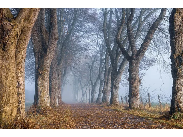 Znáte ta nejděsivější místa Česka? Kdo se nebojí, zkusí náš kvíz