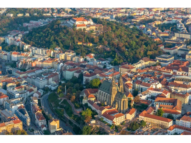 Žloutenka se na jihu Moravy šíří rekordním tempem. Jedno město je zasaženo nejvíce