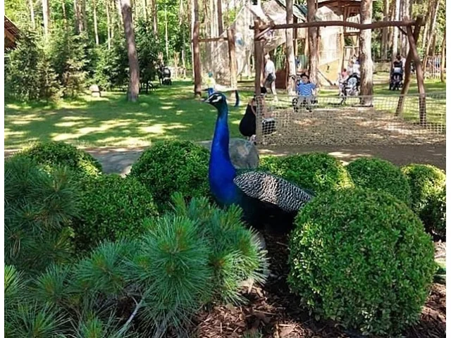 Pražský Krtkův svět zavřela inspekce. I kvůli vypouštění splašků do okolního lesa