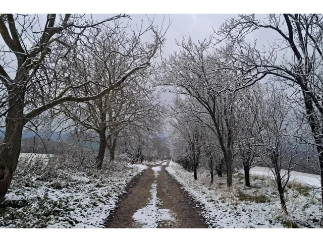 Víkendové počasí: Meteorologové varují před ledovkou, pijte teplé tekutiny a hlídejte si končetiny