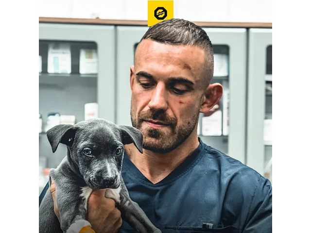 Raška v DVTV vysvětlil, proč musí Páju porazit. Jak zvládá kombinaci tréninku a práce?