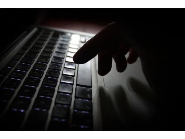 NKÚ: Systém EU pro DPH u e-obchodů má chyby, obchodníci šidí na daních