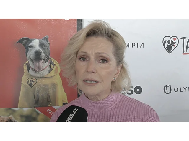 Helena Vondráčková rozzářila dům i zahradu: Svítící los je vánoční atrakcí