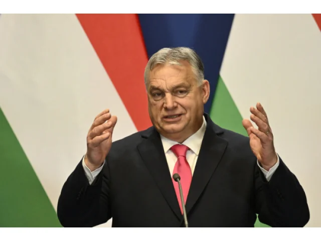 Tisíce lidí v Budapešti demonstrovaly proti Orbánovi, akci svolal starosta