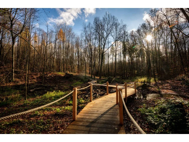 Největší zelená plocha Ostravy se významně proměnila