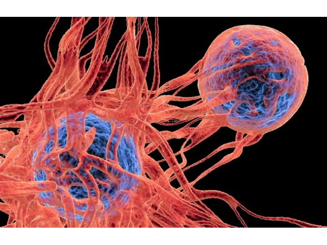 Konec zdlouhavého dojíždění. Karlovarský kraj otevře své onkologické centrum