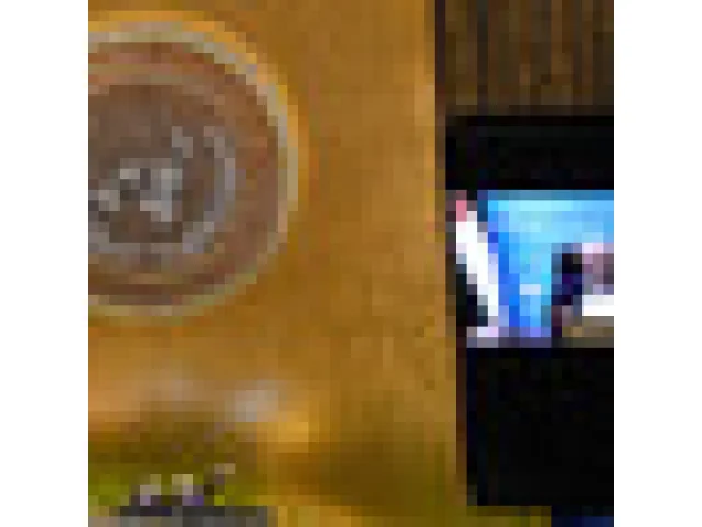 Abbás v projevu k OSN odsoudil útok Hamásu, Izrael obvinil z genocidy