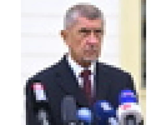 Soud požádal Sněmovnu o vydání Babiše ke stíhání v kauze Čapí hnízdo