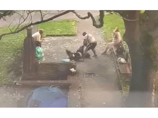 Brutální útok v jabloneckém parku? Strážníci postupovali správně, míní primátor