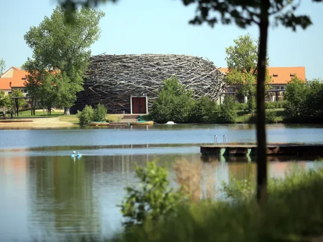 „Byl to majetek pro jeho děti.“ Klíčový svědek vypovídal o Babišovi v kauze Čapí hnízdo