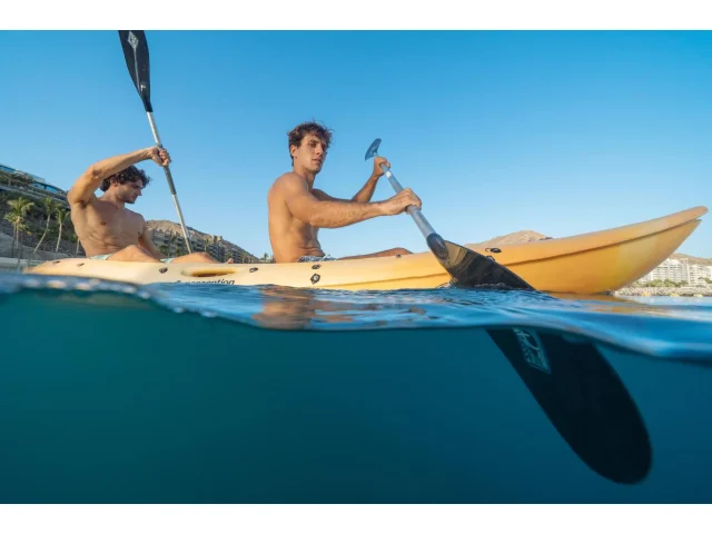 Objevte Gran Canarii z vody: Od pozorování velryb po adrenalinové vodní sporty