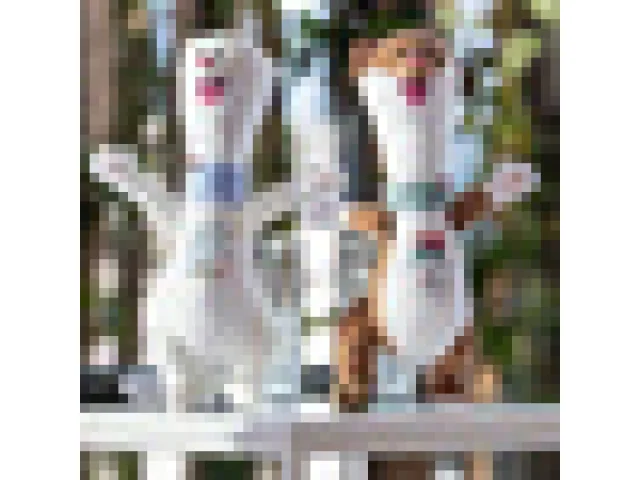 Česká kolekce pro ZOH 2026 bude inspirovaná ornamenty grafika Preissiga