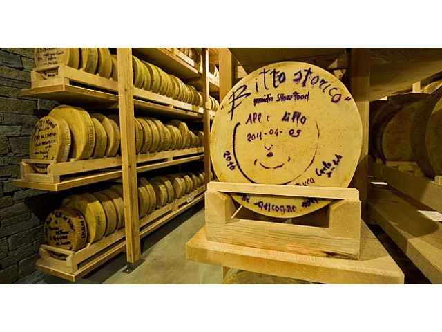 Příběhy slavných sýrů. Roztoči na povrchu, zákaz v metru a proč je nejdražší tak drahý