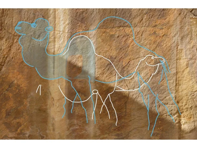 Archeologové objevili v Arabské poušti unikátní rytiny velbloudů, vytesané do skal v životní velikosti