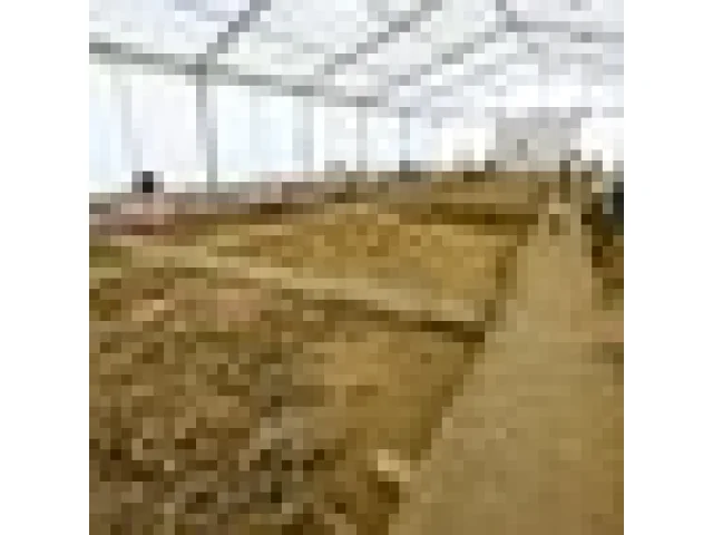 Mamutí naleziště v Ústí nad Labem si mohou lidé prohlédnout on-line