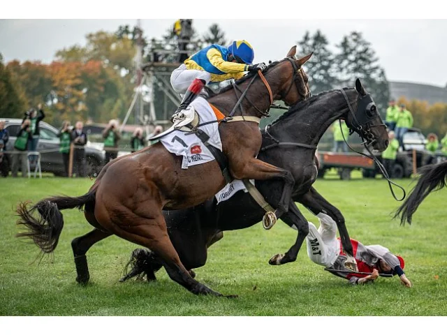 Velká pardubická: Co se stalo na Taxisu? Koně vinit nemůžu, říkal Velek