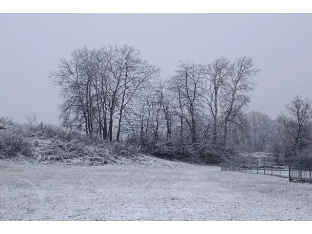 POČASÍ: Víkend bude studený a deštivý, na Šumavě má sněžit