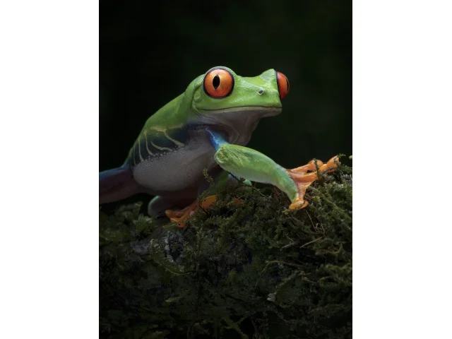 Nečtou radar, nepotřebují data: A přesto jsou o krok napřed