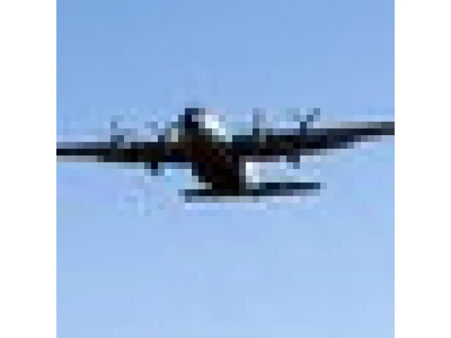 Všech 20 lidí v tureckém letounu zříceném v Gruzii zahynulo