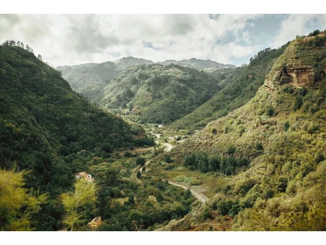 Na Gran Canaria žije 100 rostlin, které byste jinde na planetě marně hledali – a každý rok přibývají