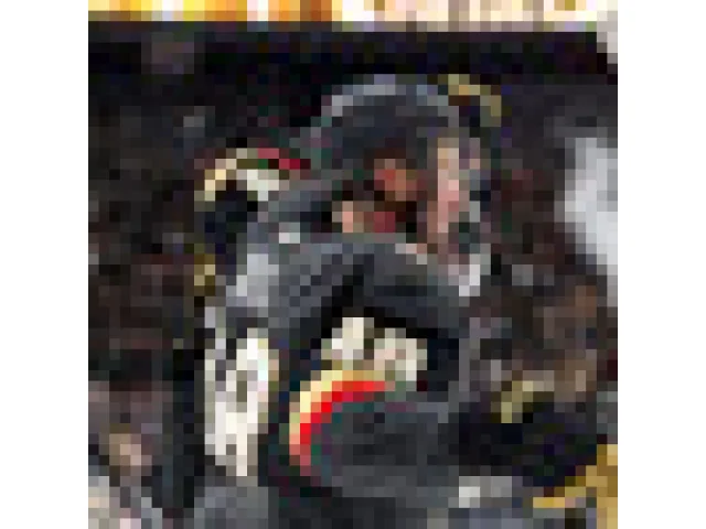 Hertl v NHL vstřelil dva góly, Vladař vychytal desátou výhru