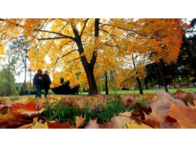 Na severní polokouli s pondělní rovnodenností začíná astronomický podzim