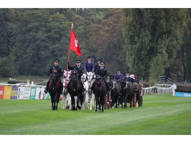 VIDEO: Velká pardubická přinesla módní klobouky, noblesu a zaplněné hlediště
