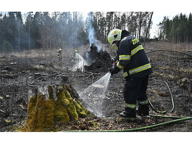 Na Jihlavsku hoří les, plameny rozfoukává silný vítr. Ze vzduchu hasí vrtulník