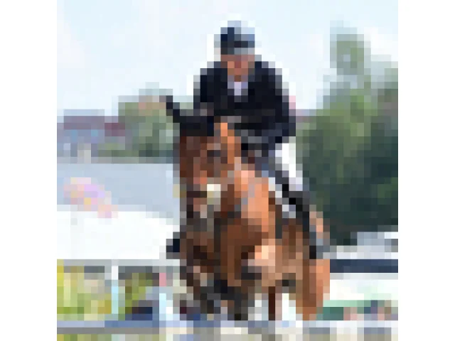 Domácí Prague Lions znovu postoupili do finále parkurového Super Cupu