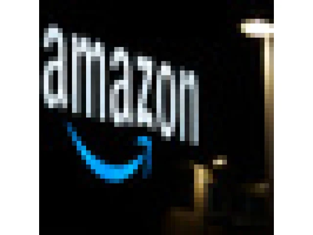 Amazon v EU podléhá přísnější regulaci podle nařízení DSA, rozhodl Tribunál EU