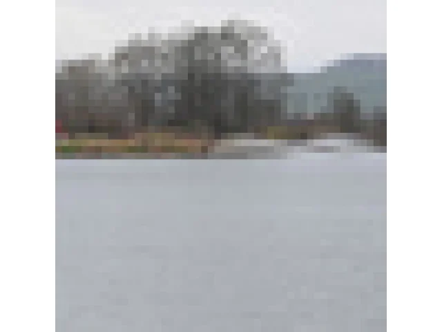 Sanaci pozemků poškozených havárií u Hustopečí převezme Diamo