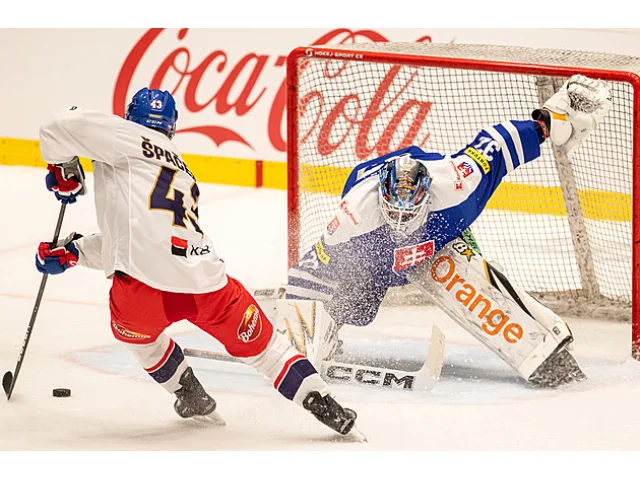 ONLINE: Česko - Slovensko 1:0. Domácí tlačí, z protiútoku Faško-Rudáš trefil tyč