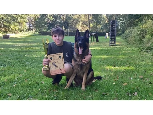 Celostátní soutěž psů v Liberci ovládl čtrnáctiletý Tomáš Kolář se svým ovčákem