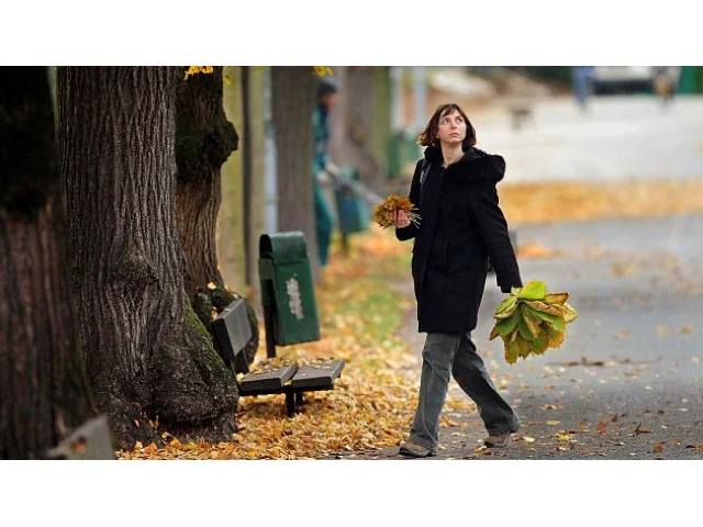 RADAR: Víkend bude zamračený s deštěm. Sledujte, kdy a kde bude pršet nejvic